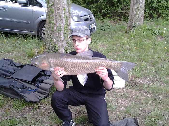 amour blanc 8 kg.jpg